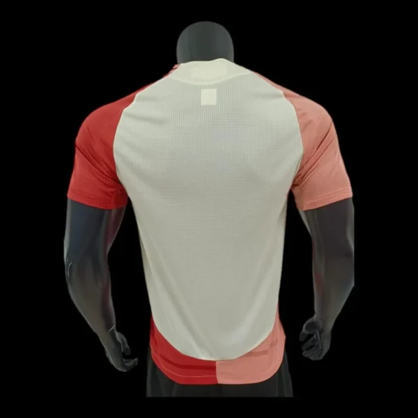 Lyon Maillot Third 24/25 - Player Version