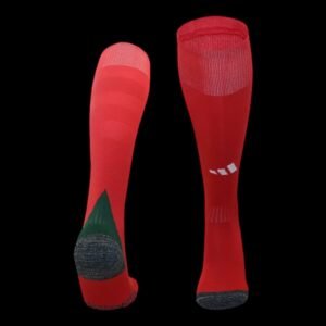 Wales Home Socks 24/25