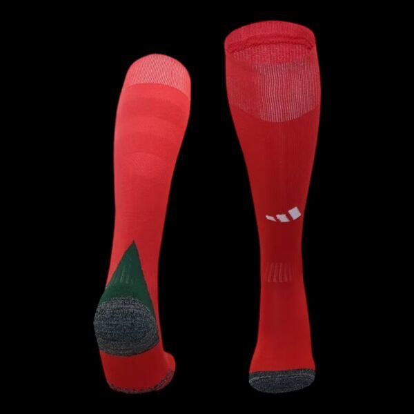 Wales Home Socks 24/25