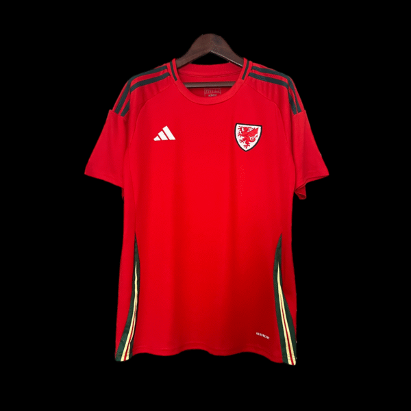 Wales Home Shirt 24/25