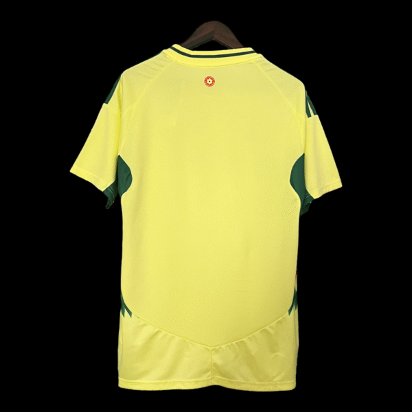Wales Away Shirt 24/25