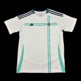 Northern Ireland Away Shirt 24/25