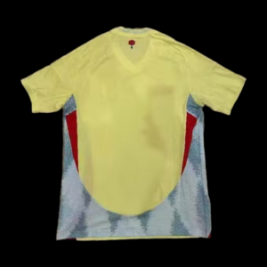Spain Away Shirt 24/25