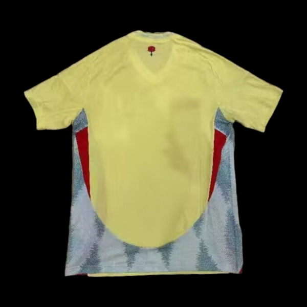 Spain Away Shirt 24/25