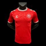 Denmark Home Shirt 24/25 – Player Version