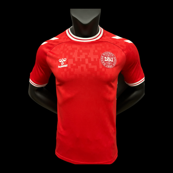 Denmark Home Shirt 24/25 – Player Version