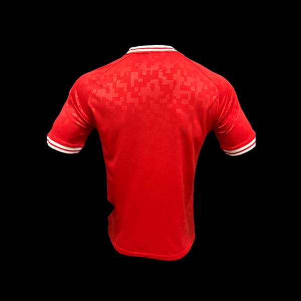 Denmark Home Shirt 24/25 – Player Version