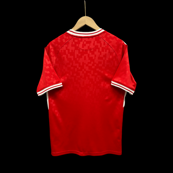 Denmark Home Jersey 24/25