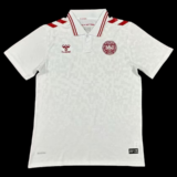Denmark Away Shirt 24/25