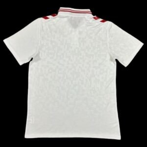 Denmark Away Shirt 24/25