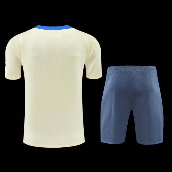 Inter Milan 24/25 Training Set