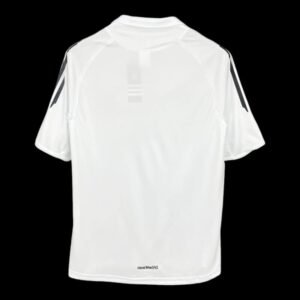 plain