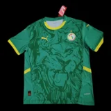 Senegal Outer jersey 25/26