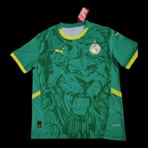Senegal Outer jersey 25/26
