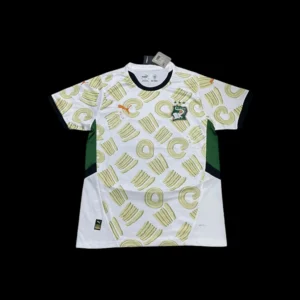 Ivory Coast Outer Jersey 24/25