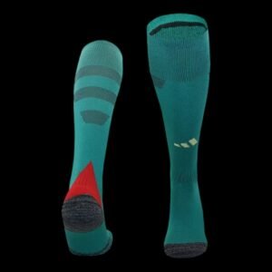 Wales Home Socks 24/25